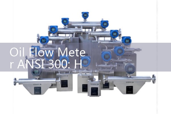 Oil Flow Meter ANSI 300: High-Strength Bolting and Gasket Alignment Rules
